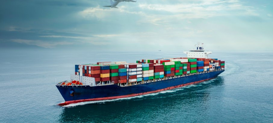 Supply Chain Network